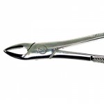 Forcep #76 Upper Roots Read